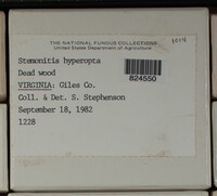 Image Associated With the Occurence